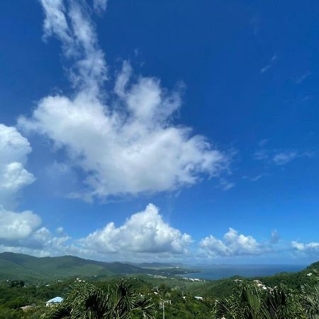 Villa Les Alizes Morne Blanc Eksteriør bilde