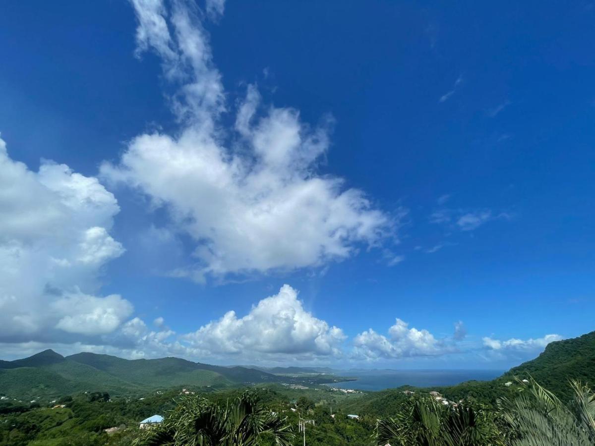 Villa Les Alizes Morne Blanc Eksteriør bilde