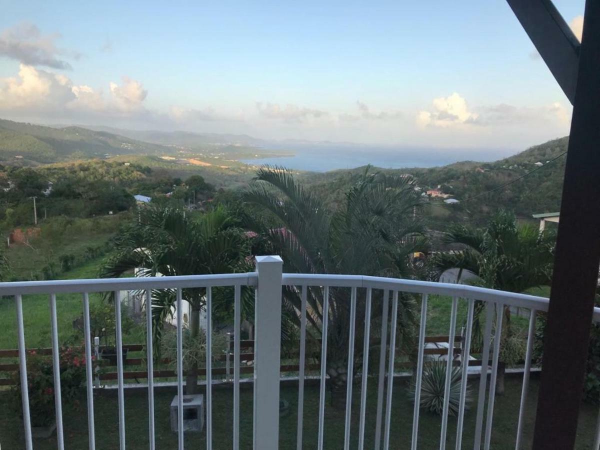 Villa Les Alizes Morne Blanc Eksteriør bilde